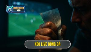 thumb - kèo live bóng đá