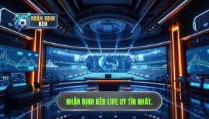 Nhận Định Kèo Live Trận Đấu: Nghệ Thuật Đọc Vị Trong Từng Khoảnh Khắc