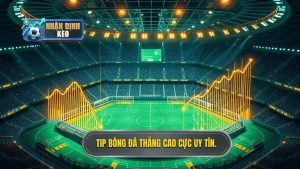 Bí quyết soi tip bóng đá thắng cao cực chuẩn từ chuyên gia NHẬN ĐỊNH KÈO