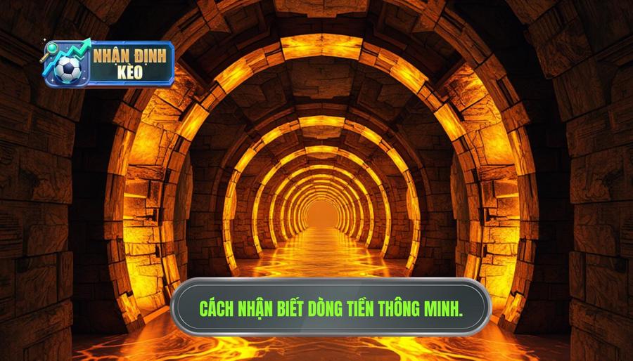 Tại sao cần biết cách nhận biết dòng tiền đổ vào cửa nào?