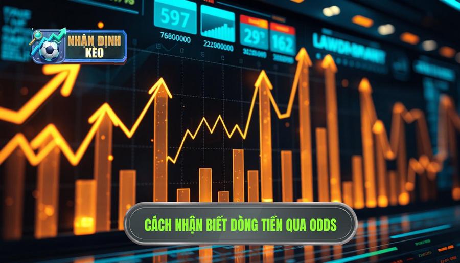 Cách nhận biết dòng tiền đổ vào cửa nào qua biến động Odds